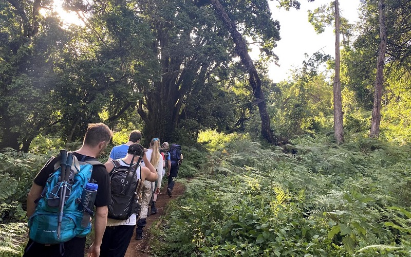 KILIMANJARO DAY HIKING