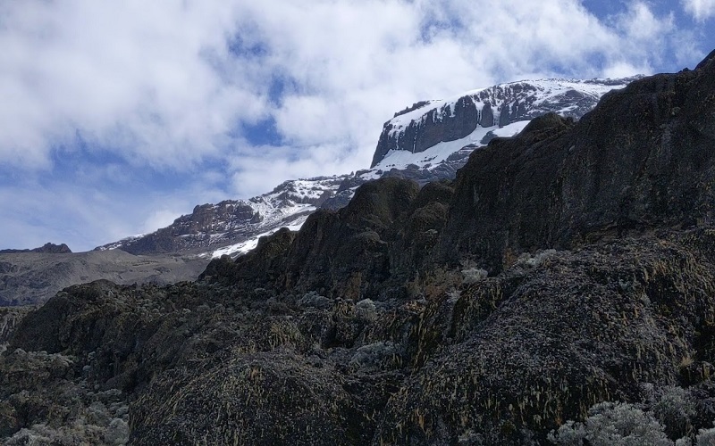 KILIMANJARO LEMOSHO ROUTE