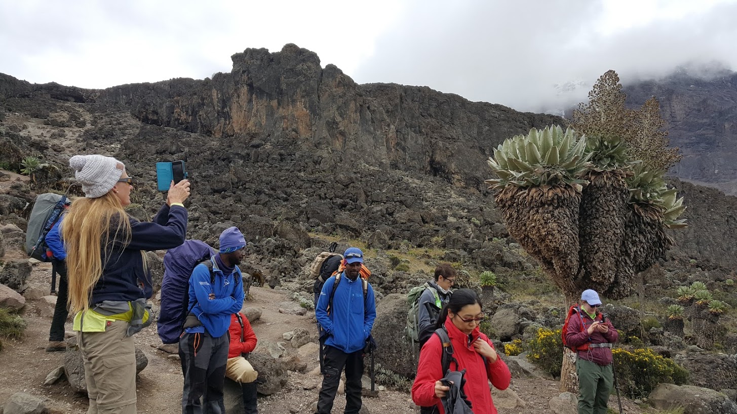 UNIQUENESS OF KILIMANJARO