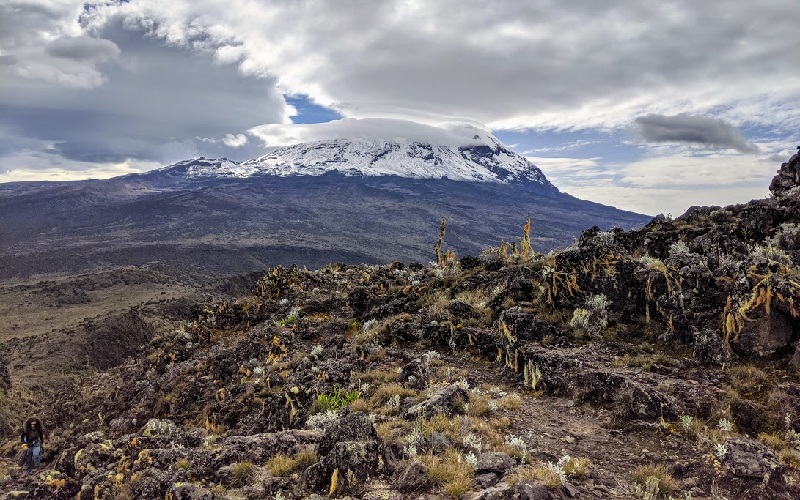 RAIN SEASON CLIMBING KILIMANJARO