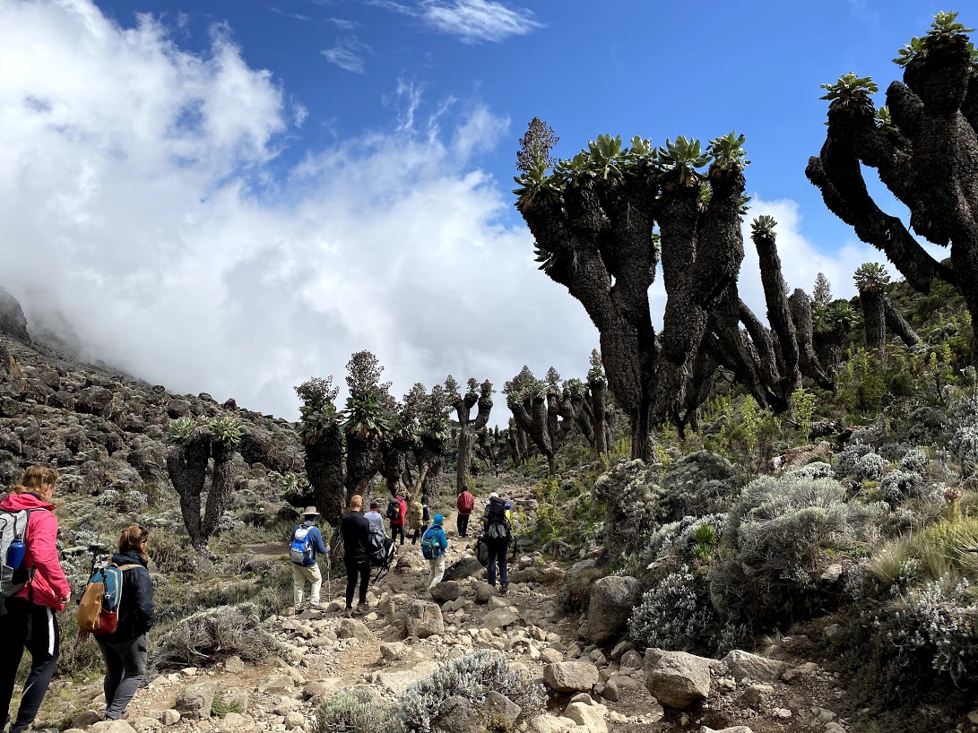 Kilimanjaro 9 days western breach