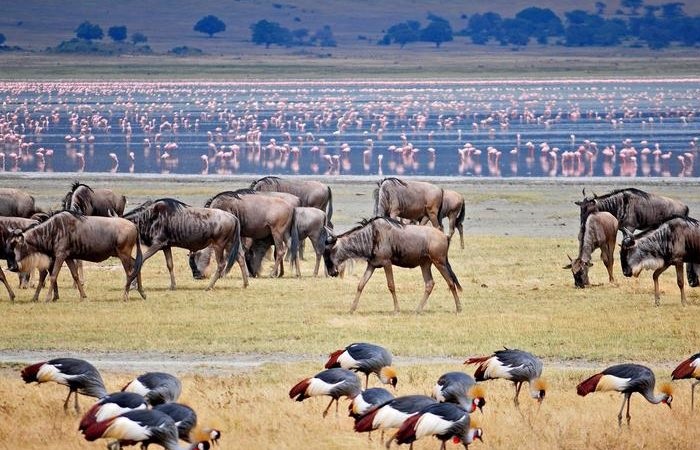 LAKE MANYARA NATIONAL PARK