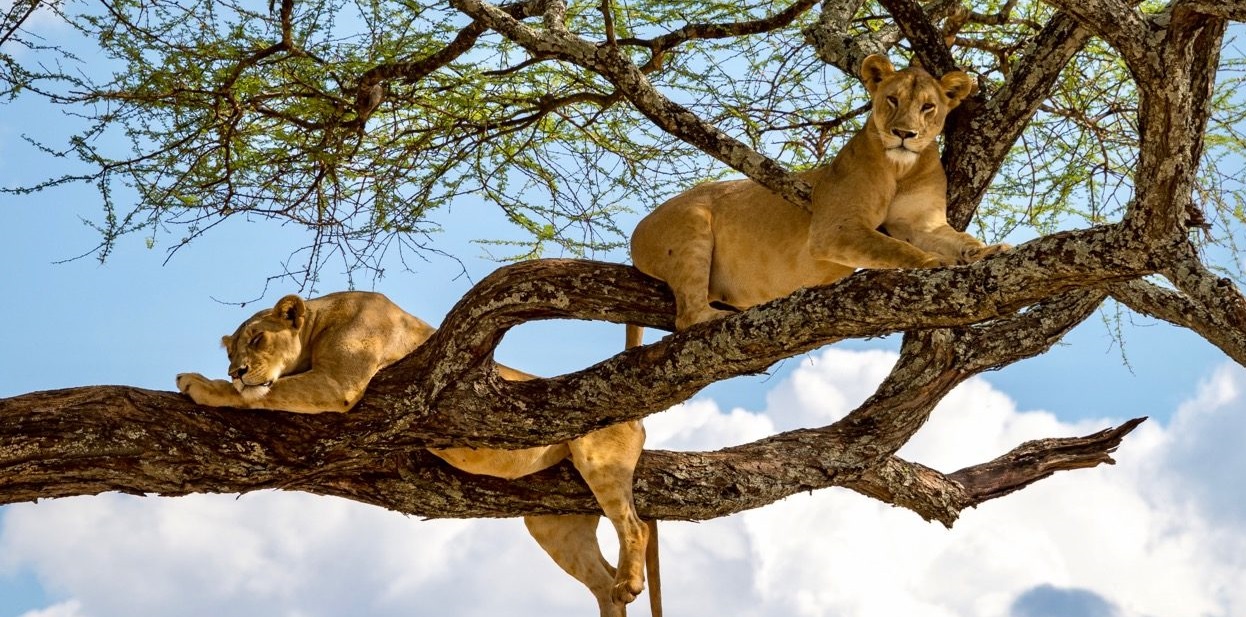 lake manyara National park