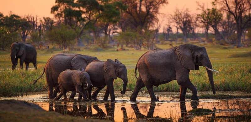 Tarangire National park